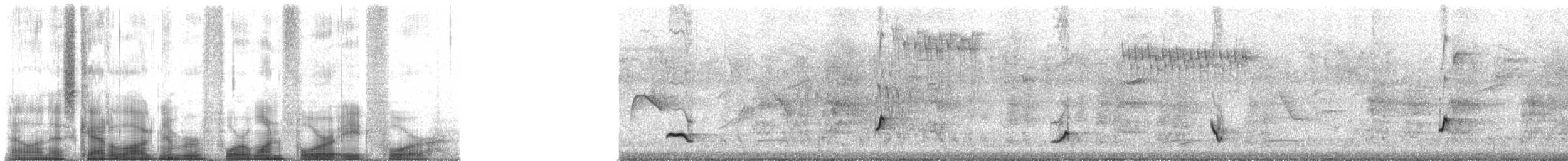 Black-striped Sparrow - ML41484