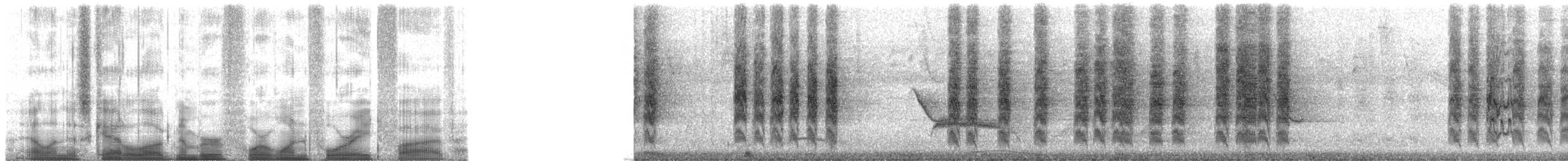 Orange-chinned Parakeet - ML41485