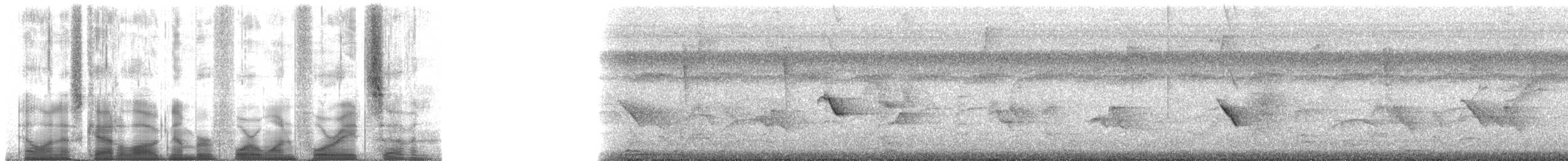 Yellow-crowned Euphonia - ML41487