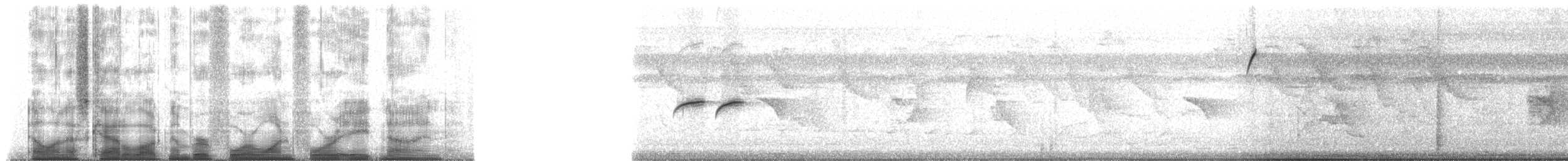 Yellow-crowned Euphonia - ML41489