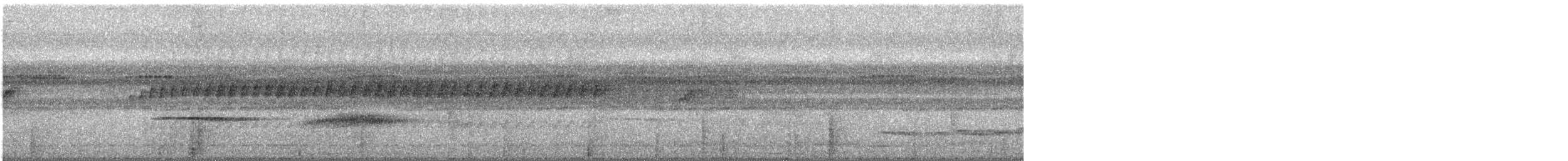 Чернопятнистая гологлазка - ML414901981