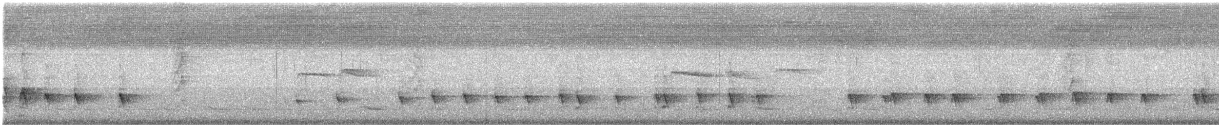 Grauschulter-Kappentyrann - ML414904921