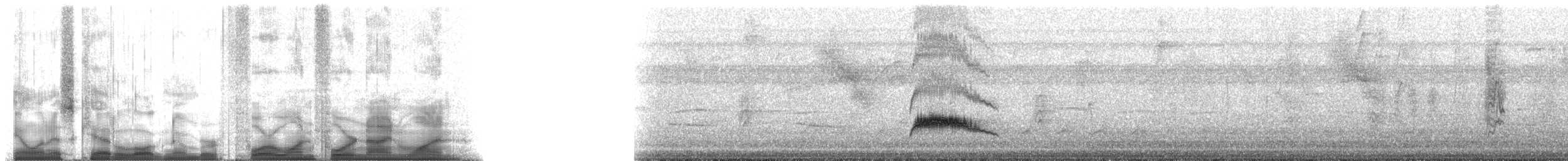 Yellow-bellied Elaenia - ML41491