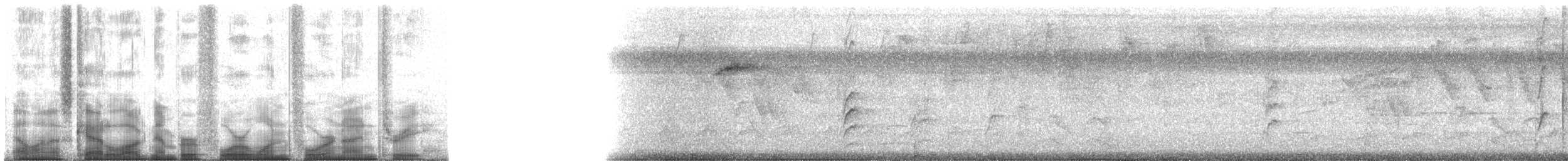 Golden-naped Woodpecker - ML41493