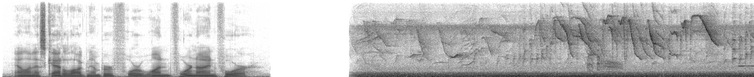 Common Squirrel-Cuckoo (Middle American) - ML41494