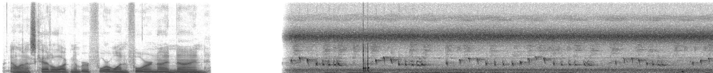 Little Greenbul - ML41499