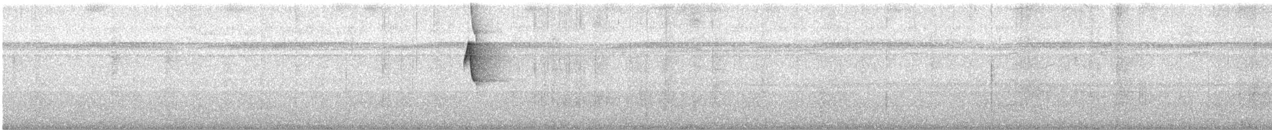 Светлобрюхий колибри-отшельник - ML415077951