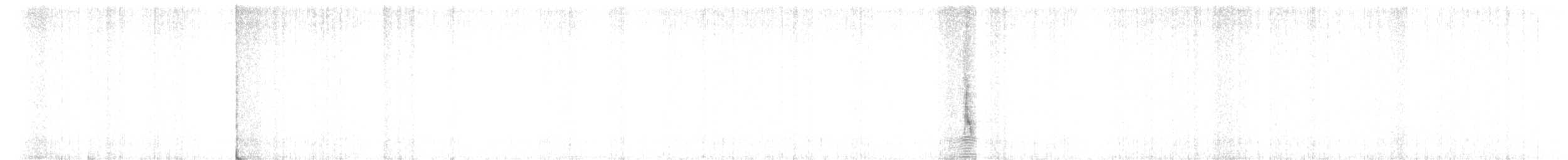 Langschwanzstärling - ML415126091