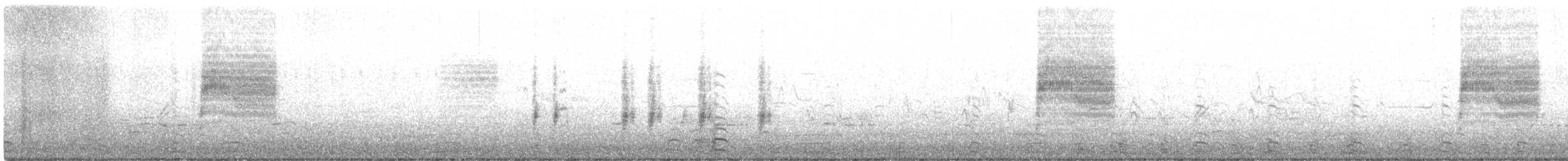 Troglodyte de Bewick - ML415128561