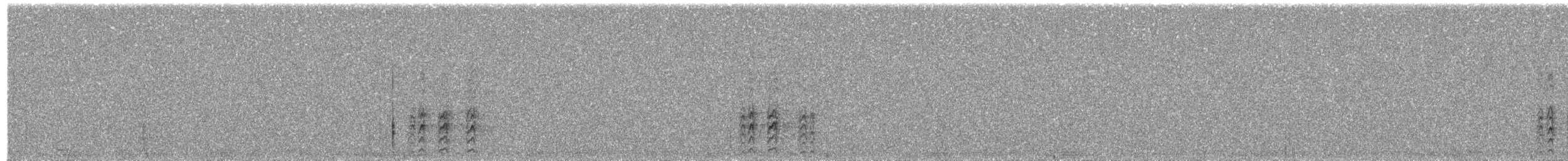 Гіла чорновола (підвид angustifrons) - ML415151511