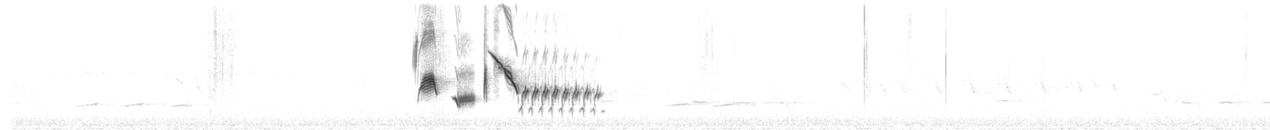 pipilo rudooký (ssp. erythrophthalmus/canaster) - ML415218201