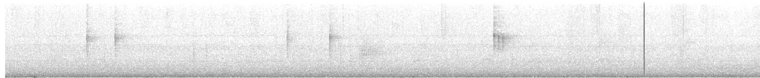 Малая мухоловка - ML41523011