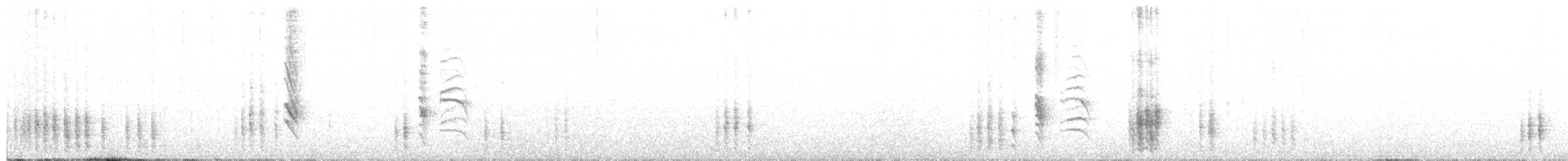 Патагонский курен - ML415245261