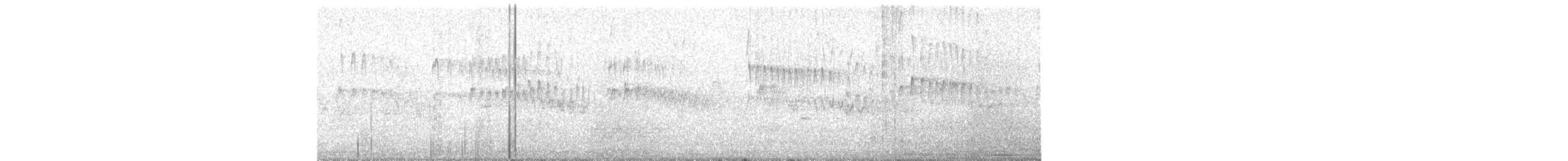 House Swift - ML415270641