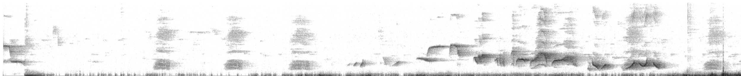 Beyaz Belli Şama - ML415348471