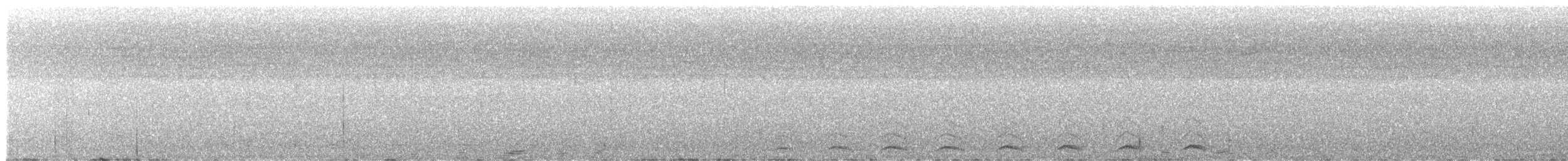 Blue-tailed Trogon - ML415353441