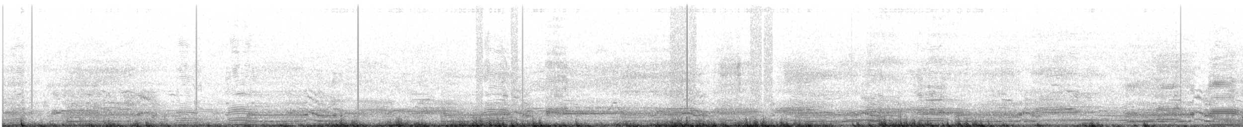 Swan Goose (Domestic type) - ML415416811