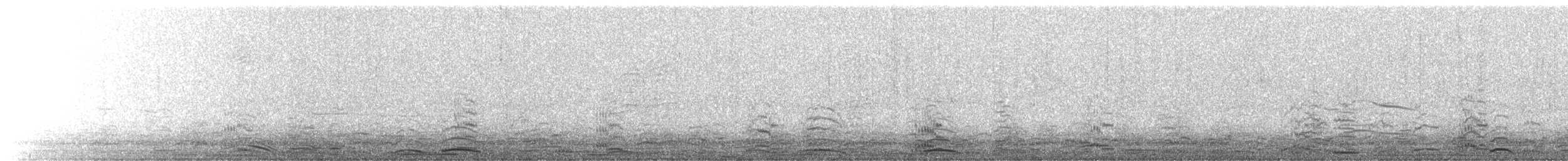 Cygne siffleur (bewickii) - ML415461011