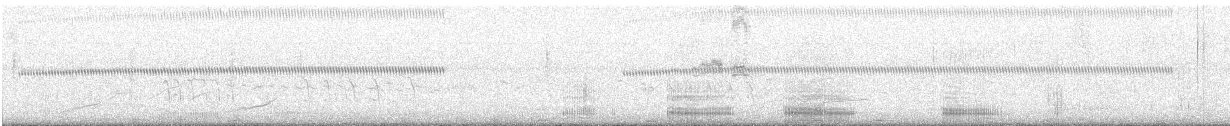 Grande Aigrette (egretta) - ML415511141