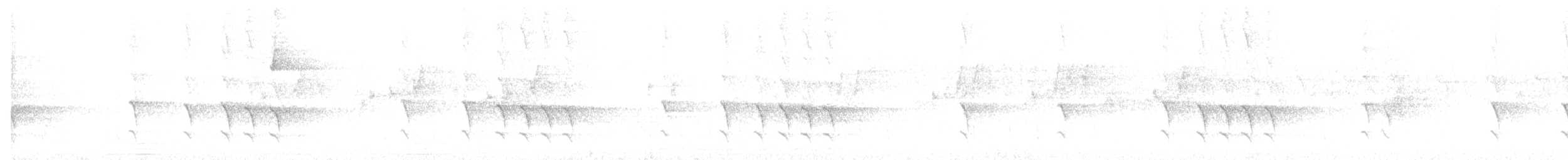 Orthonyx de Temminck - ML415527131