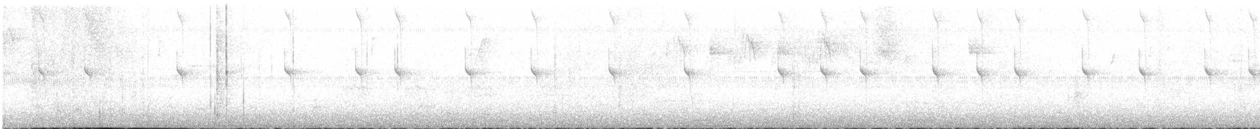 Blue-vented Hummingbird - ML415594231