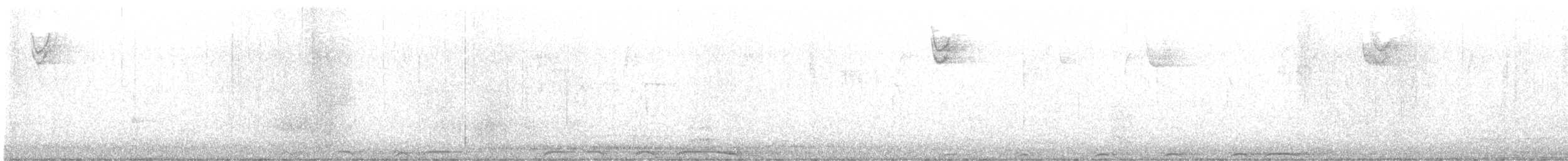 Barred Owl - ML415599041