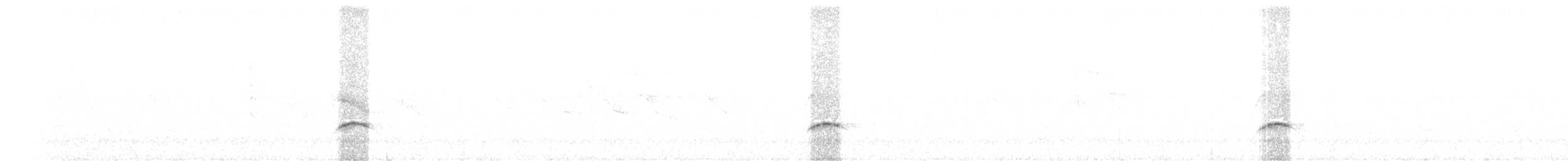 Weißkronen-Olivtyrann - ML415622831