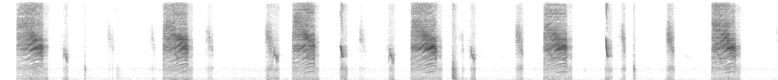 Southern House Wren - ML415623611