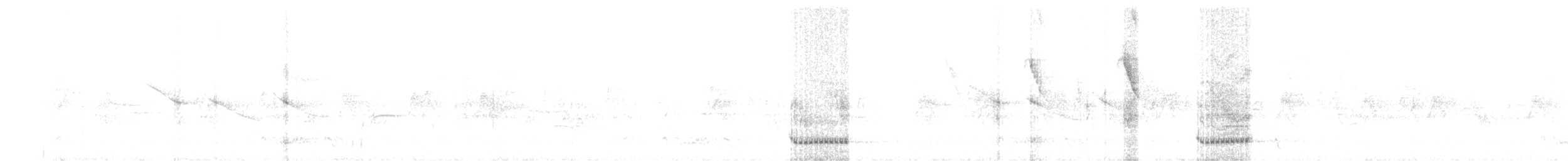 Kara Kanatlı Yer Kumrusu - ML415628141