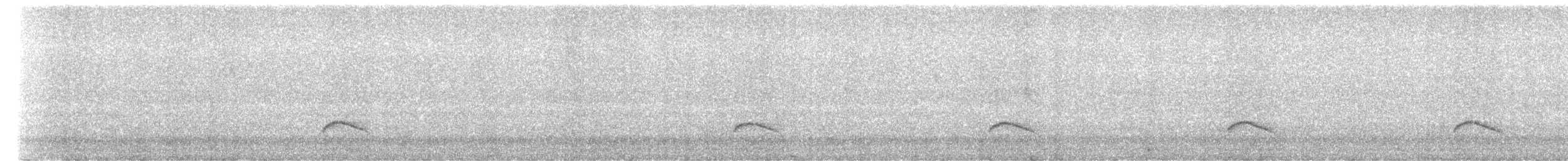 Weißkronen-Olivtyrann - ML415628331
