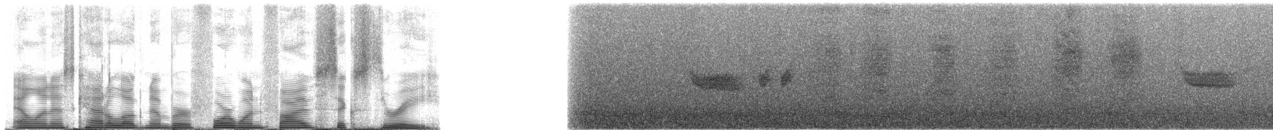 Вилохвістка плямиста - ML41563