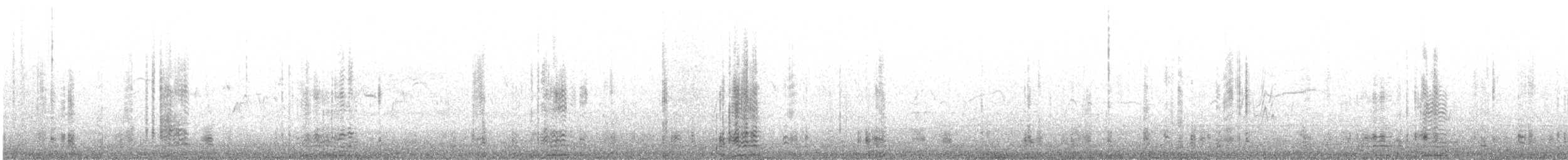 berneška tmavá (ssp. bernicla) - ML415693021