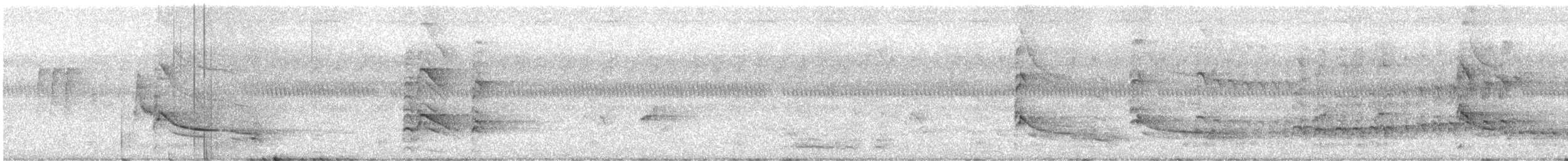 Whistling Kite - ML415705161