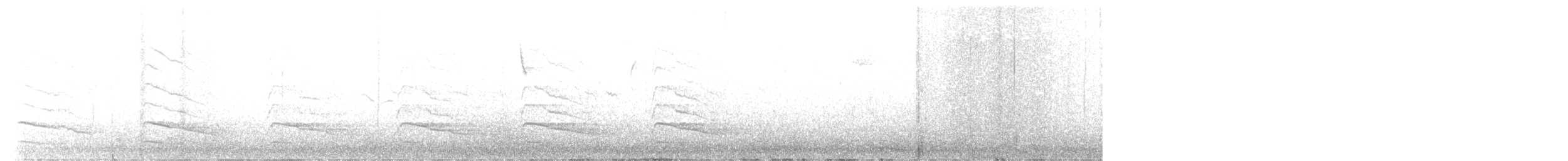 Rotschulterbussard [lineatus-Gruppe] - ML415716881
