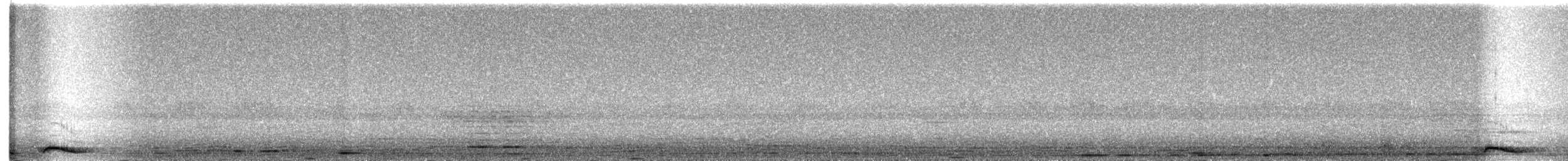 Collared Scops-Owl - ML415805641