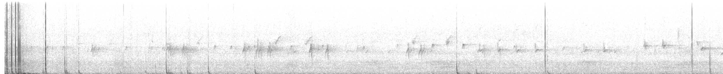 "Шишкар ялиновий (Northeastern, або тип 12)" - ML415832301