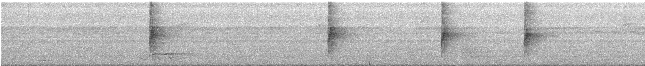 Black-tailed Leaftosser - ML415885071