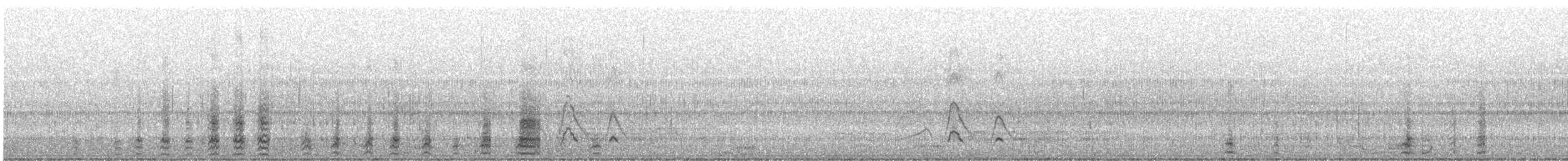Bufflehead - ML415968181