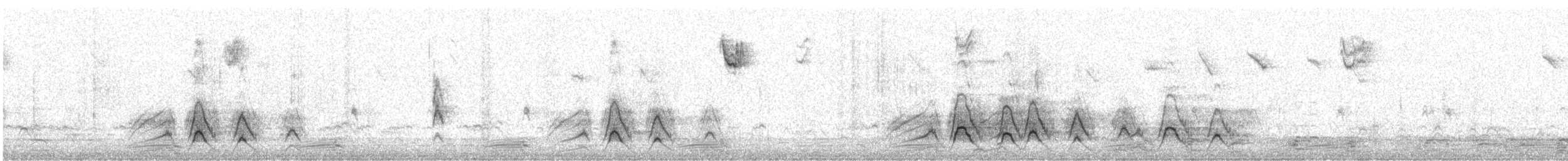 American Wigeon - ML416122311
