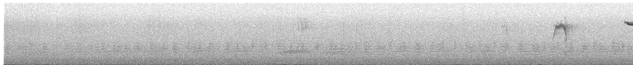 Brown Creeper - ML416126081