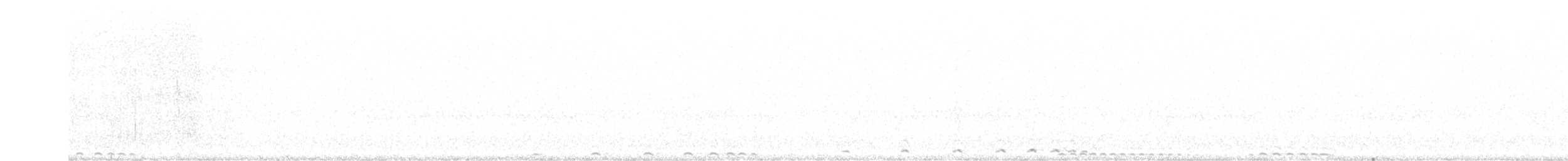 Western Screech-Owl - ML416135741