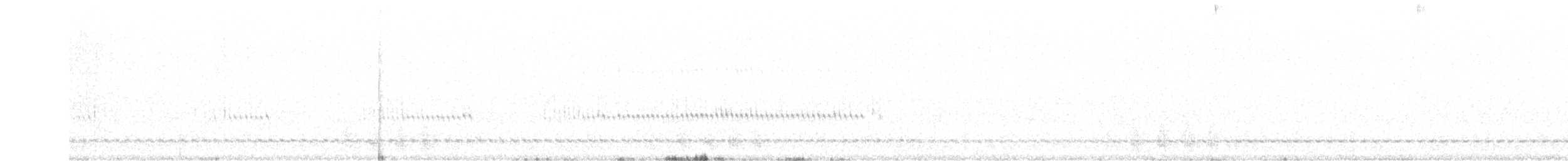 Elf Owl - ML416135791