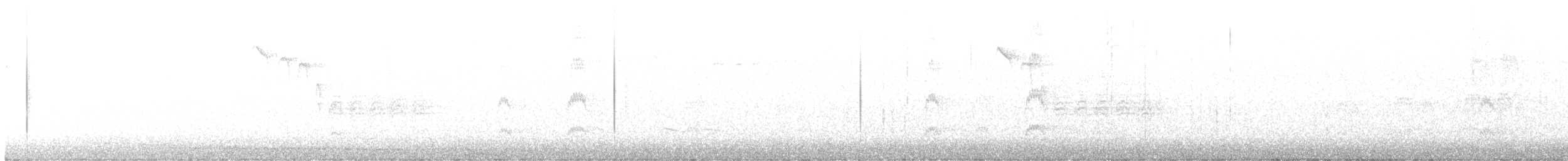 ホオジロシマアカゲラ - ML416264761