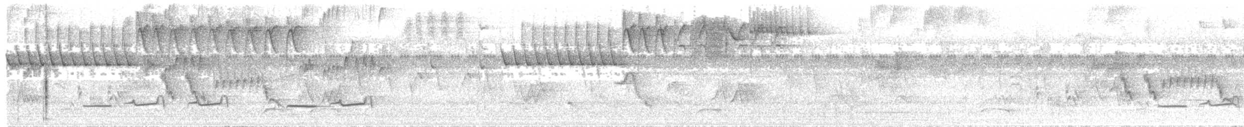 Temminck's Seedeater - ML41636441
