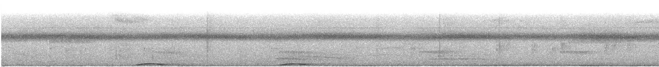 holub černobradý - ML416365211
