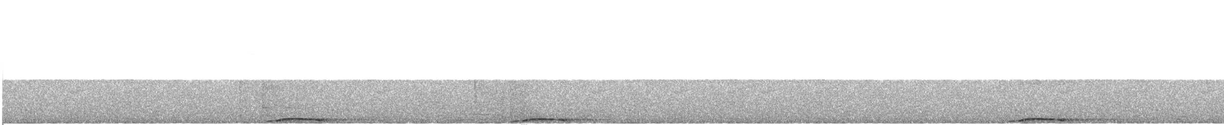 holub černobradý - ML416365221