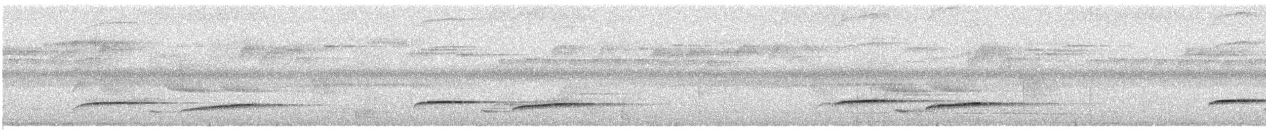 Кустарниковая кукушка (sepulcralis/everetti) - ML416365301