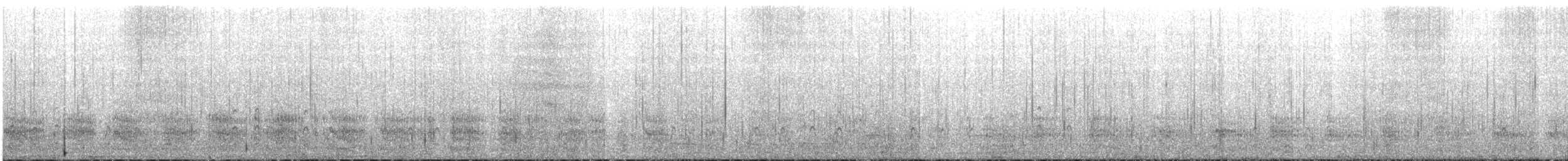 sørhavsterne (vittata gr.) - ML416436121