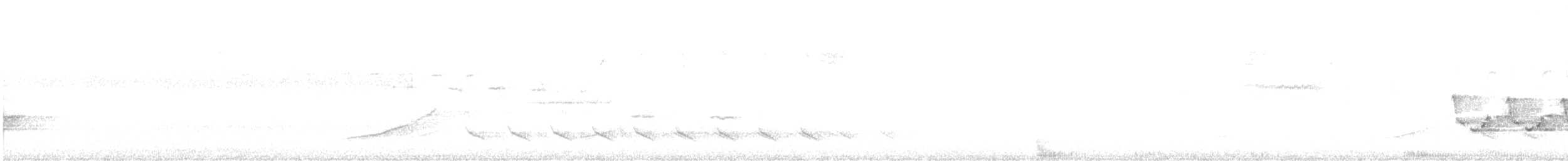 Каролинский крапивник - ML416436421