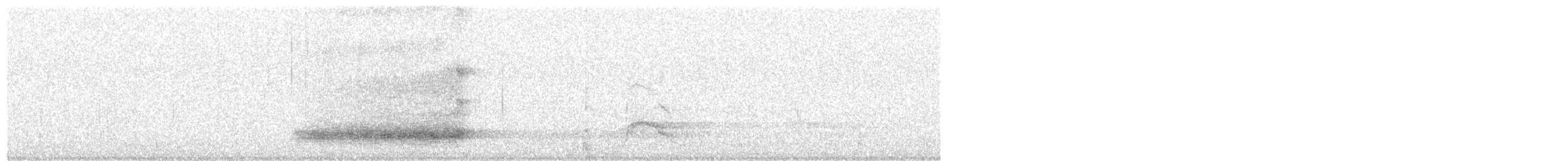 Schleiereule - ML416495801